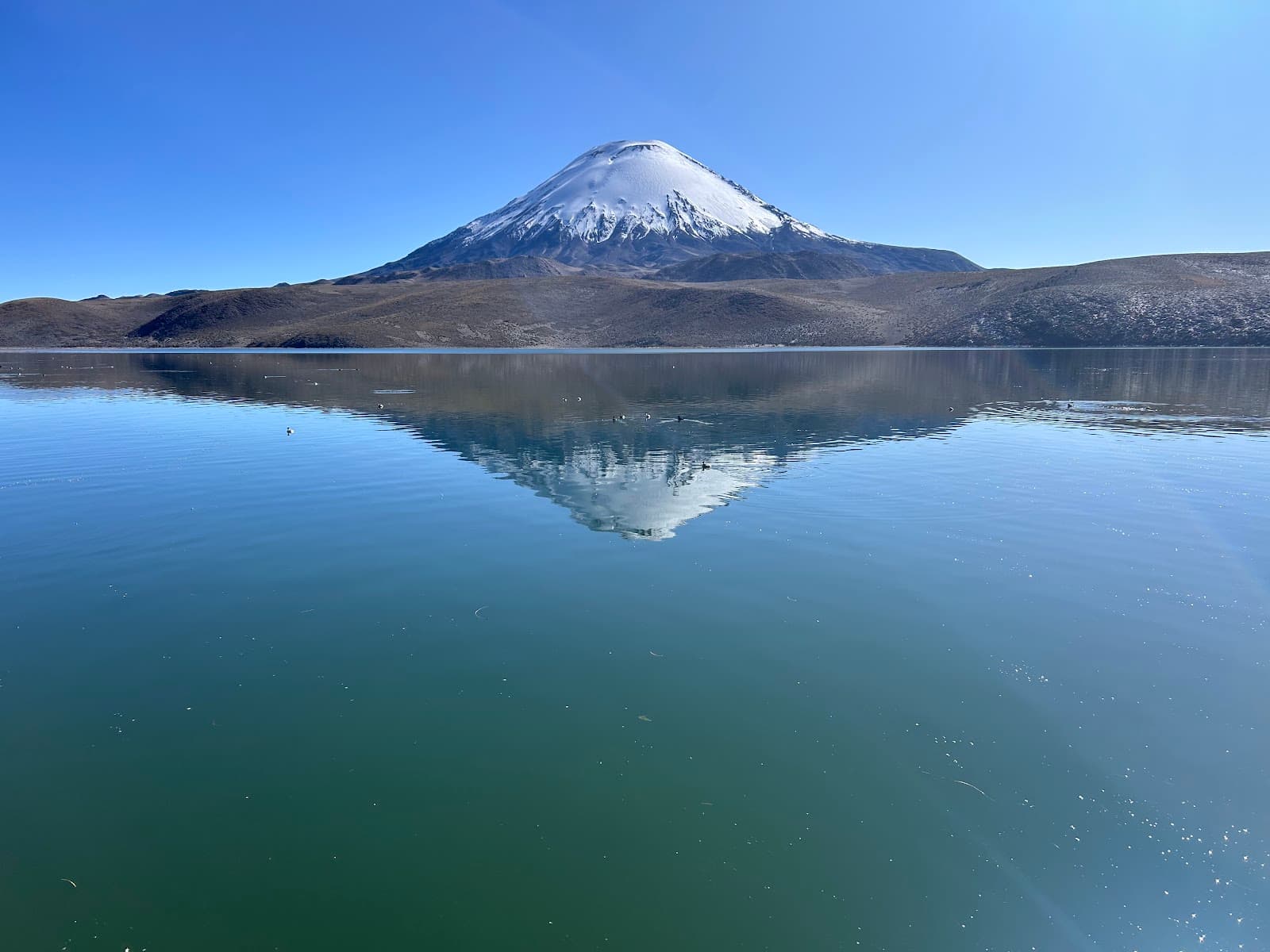 Mirador del Volcán Parinacota - Image 1