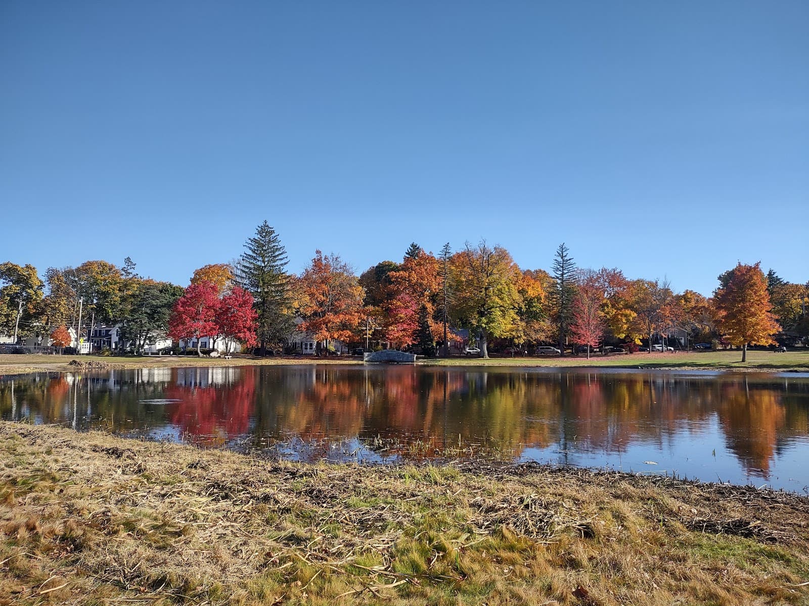 White Park - Image 1