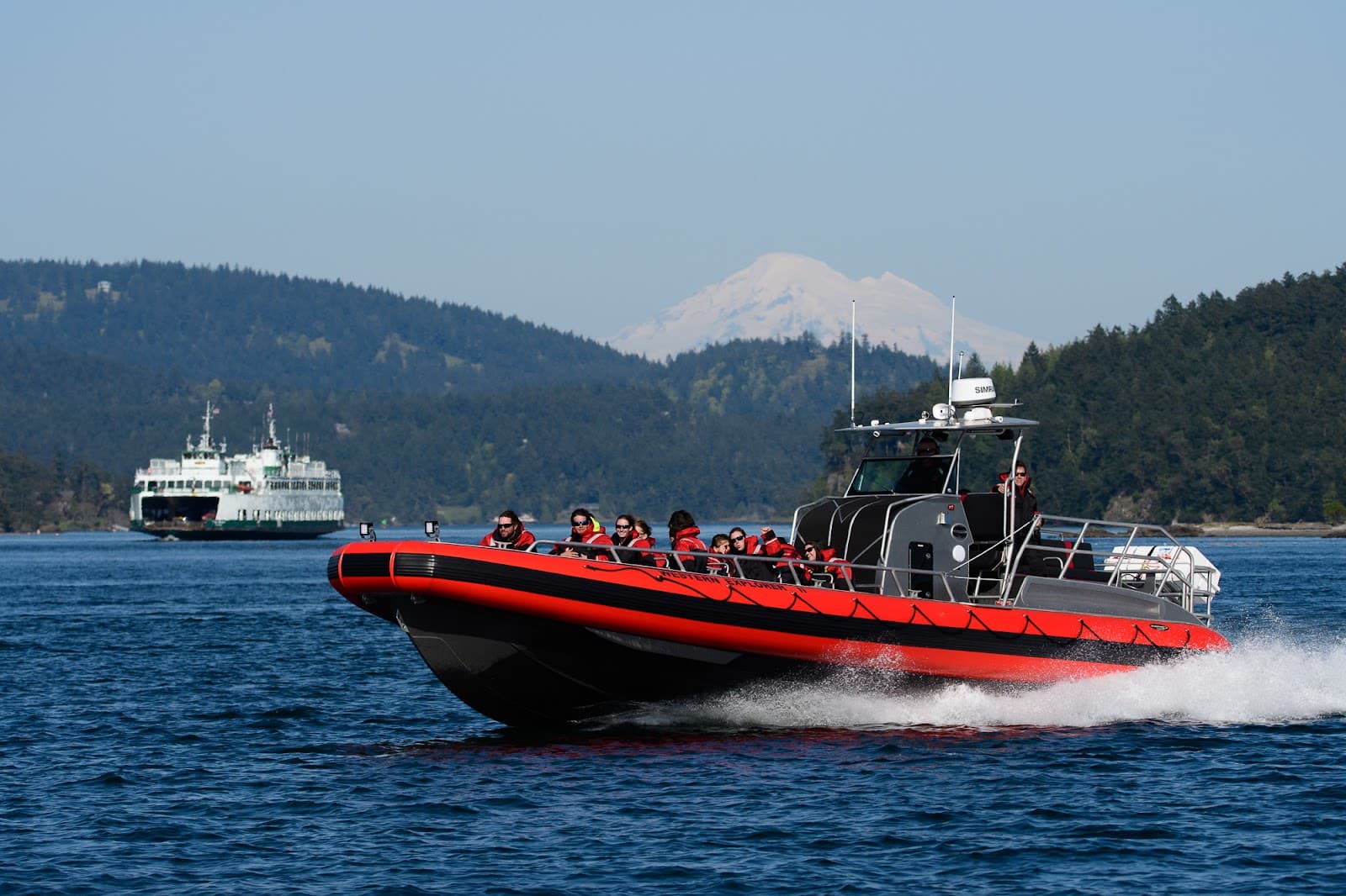 Friday Harbor Whale Watching Tour - Image 1