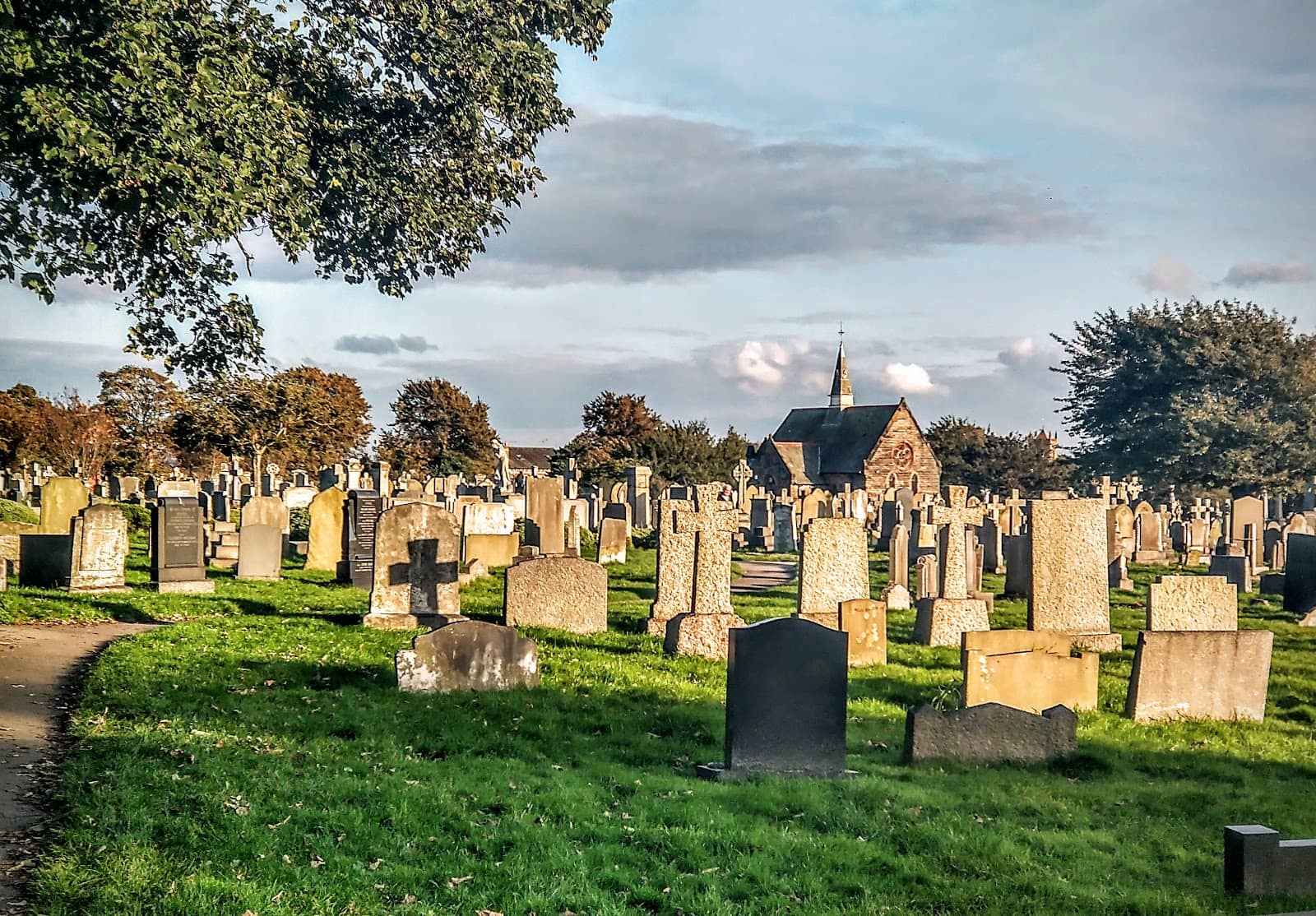 Lavender and Heather Gardens