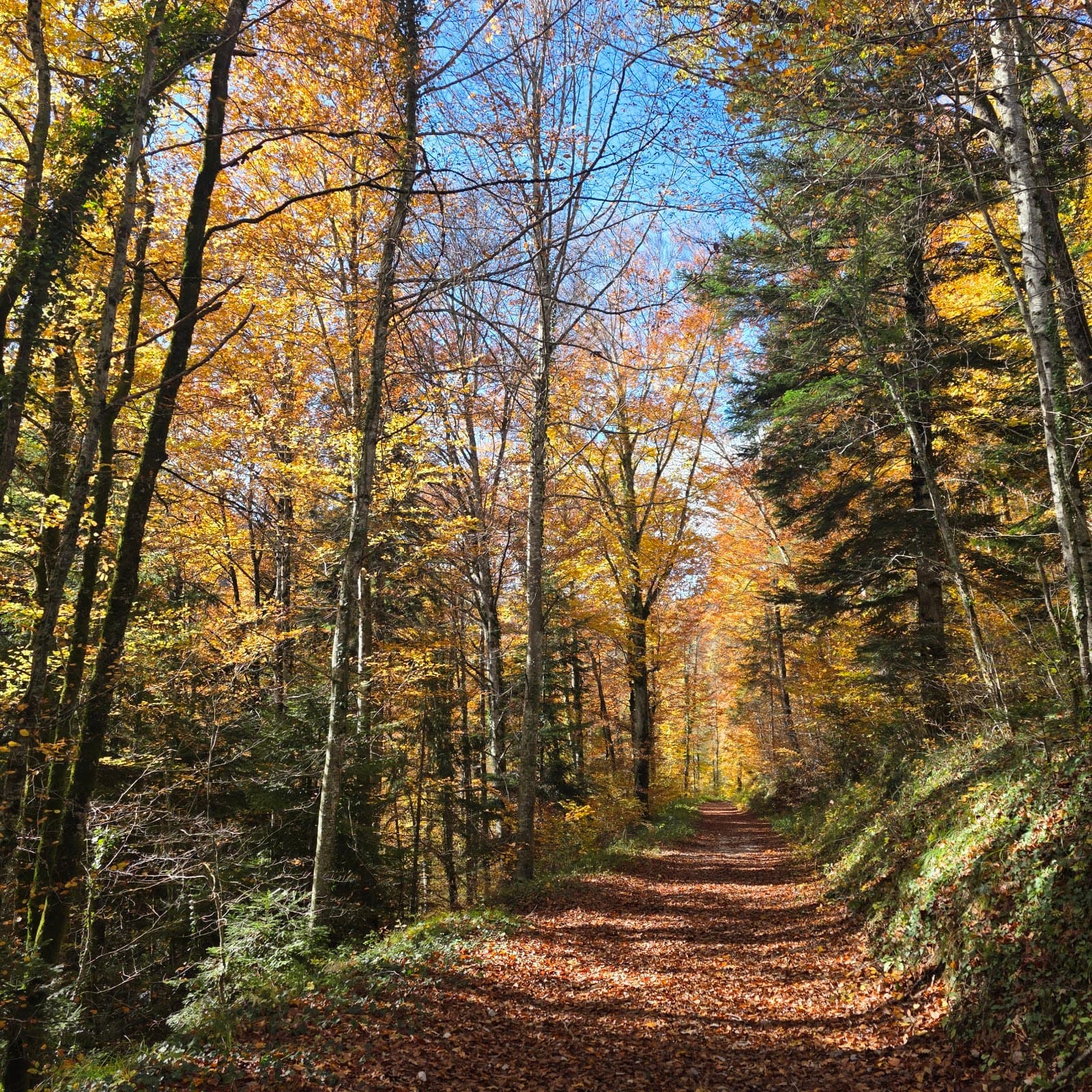 Gorges de l’Orbe - Image 1