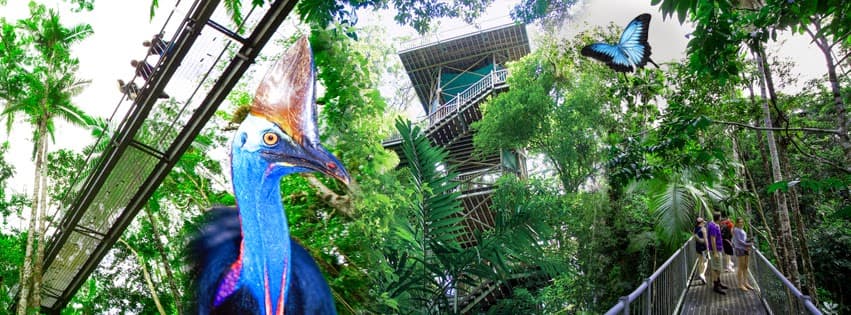 Daintree Discovery Centre - Image 1