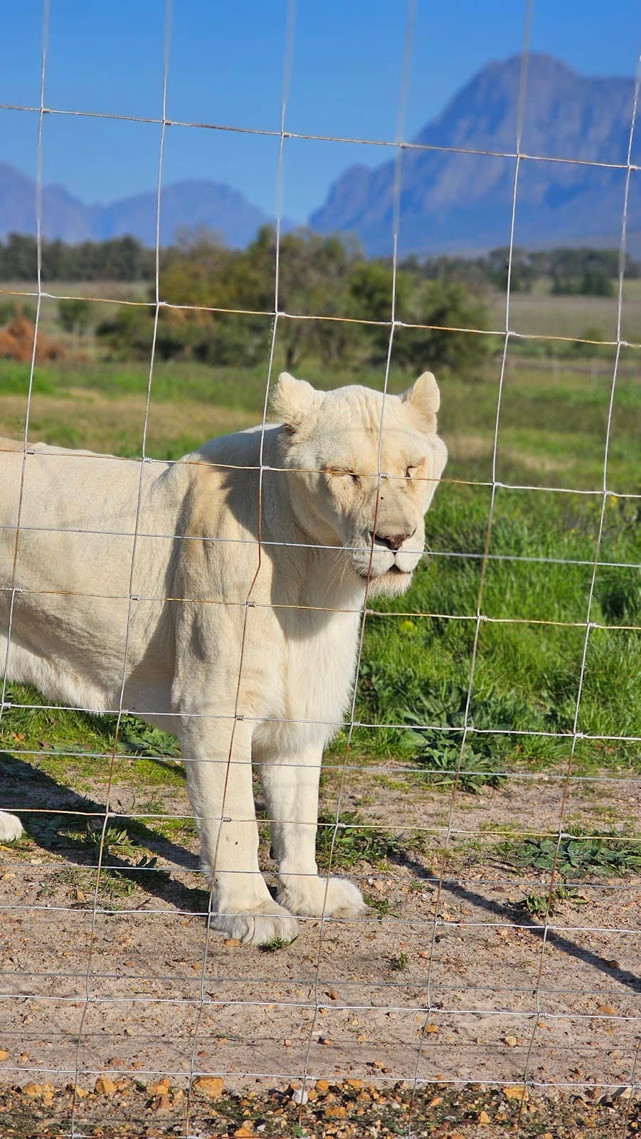 Passionate Staff and Conservation Efforts