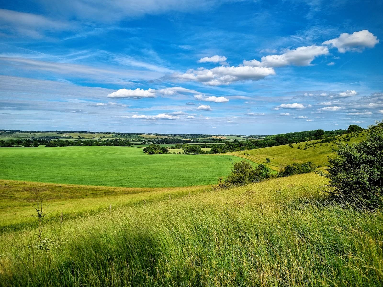 Ivinghoe Hills National Nature Reserve - Image 1