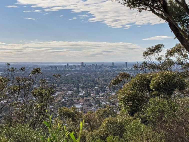 Windy Point Lookout - Image 1