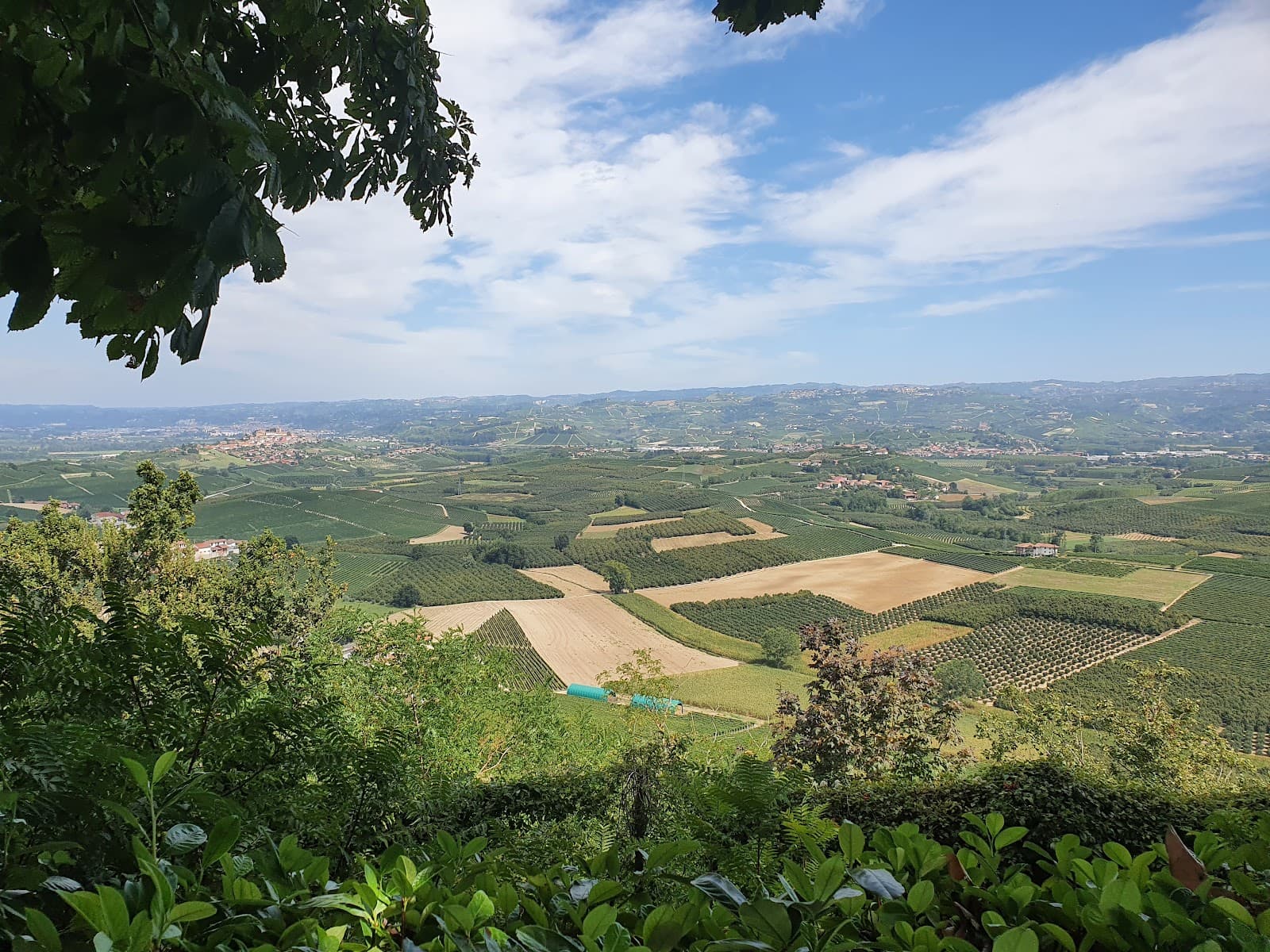 Belvedere di Verduno - Image 1