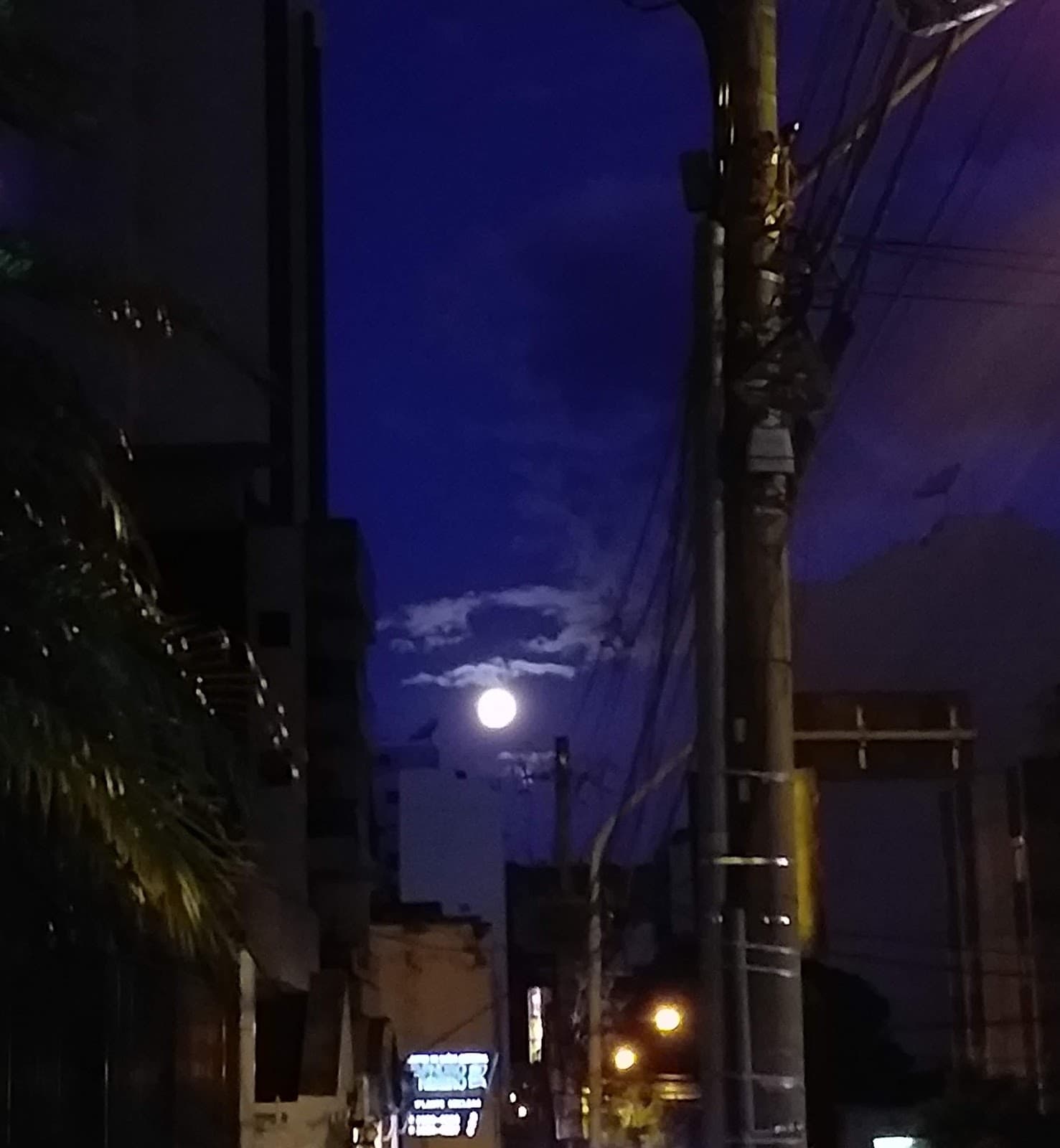 Cataguases Modernist Circuit - Image 1