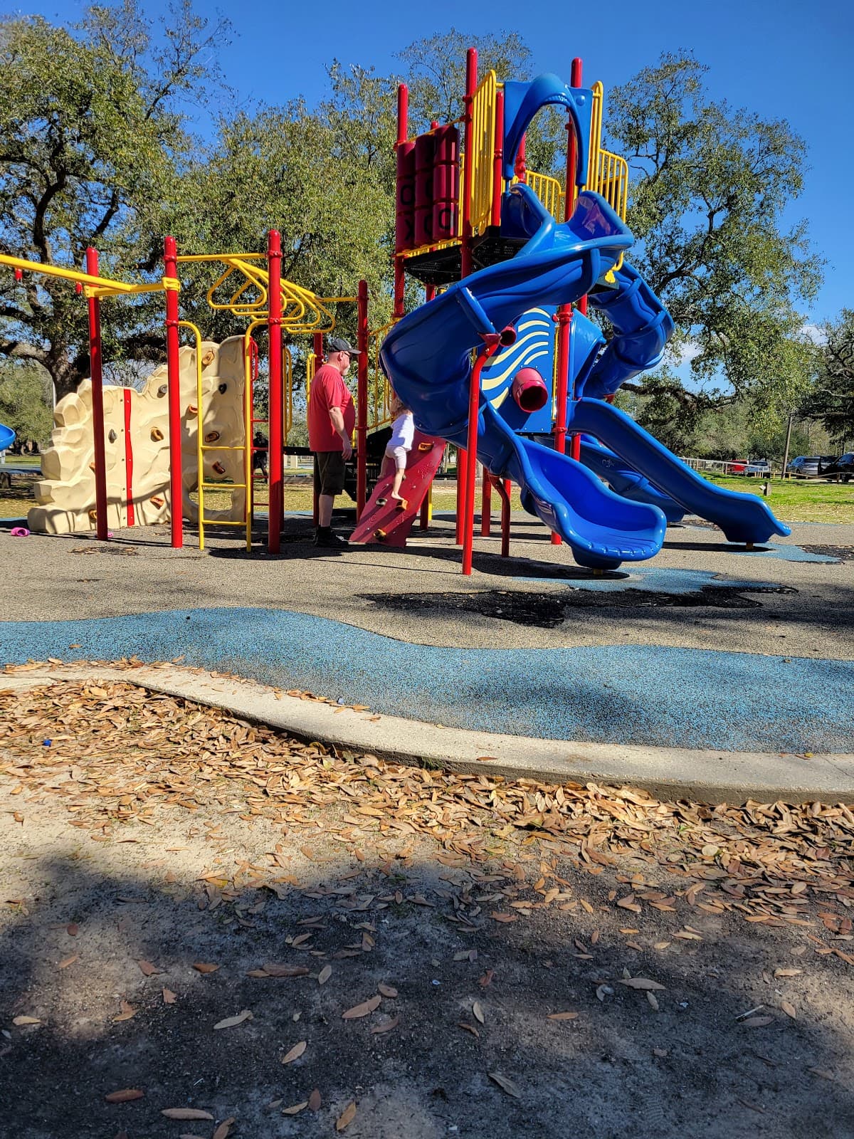 Zemurray Park - Image 1