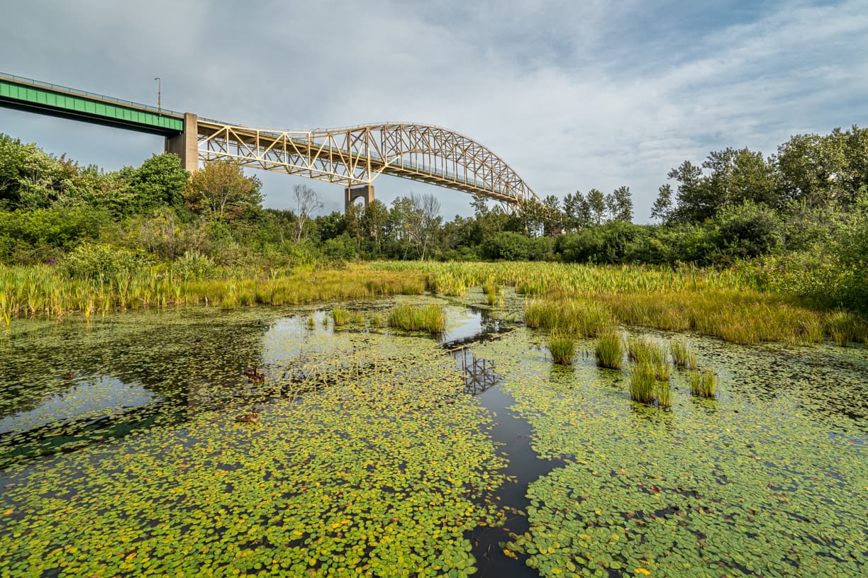 Whitefish Island (Attikamek Trail) - Image 1