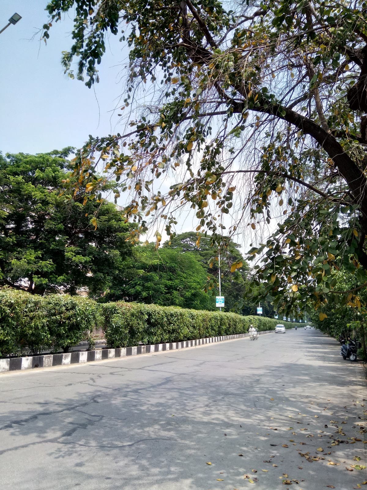 Ghod Dod Road Surat - Image 1