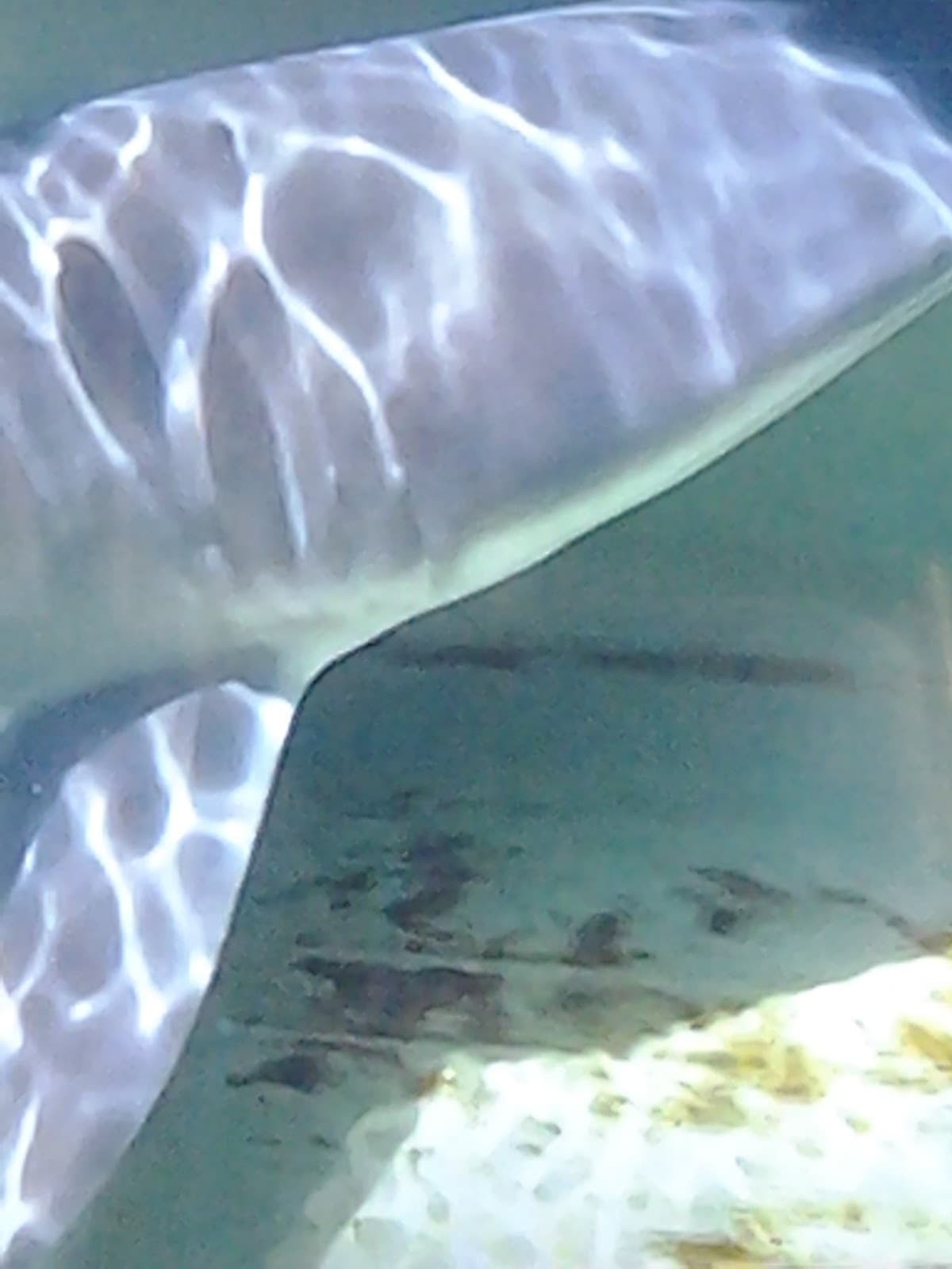 Riverside California - Image 1