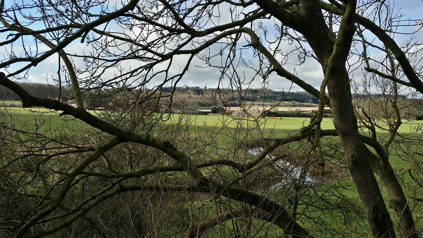 Weddington Meadows Nature Reserve - Image 1