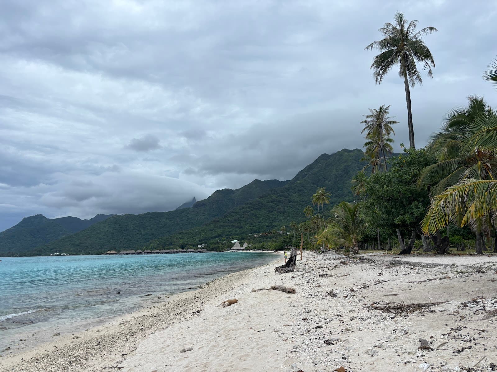 Temae Beach Moorea French Polynesia - Image 1