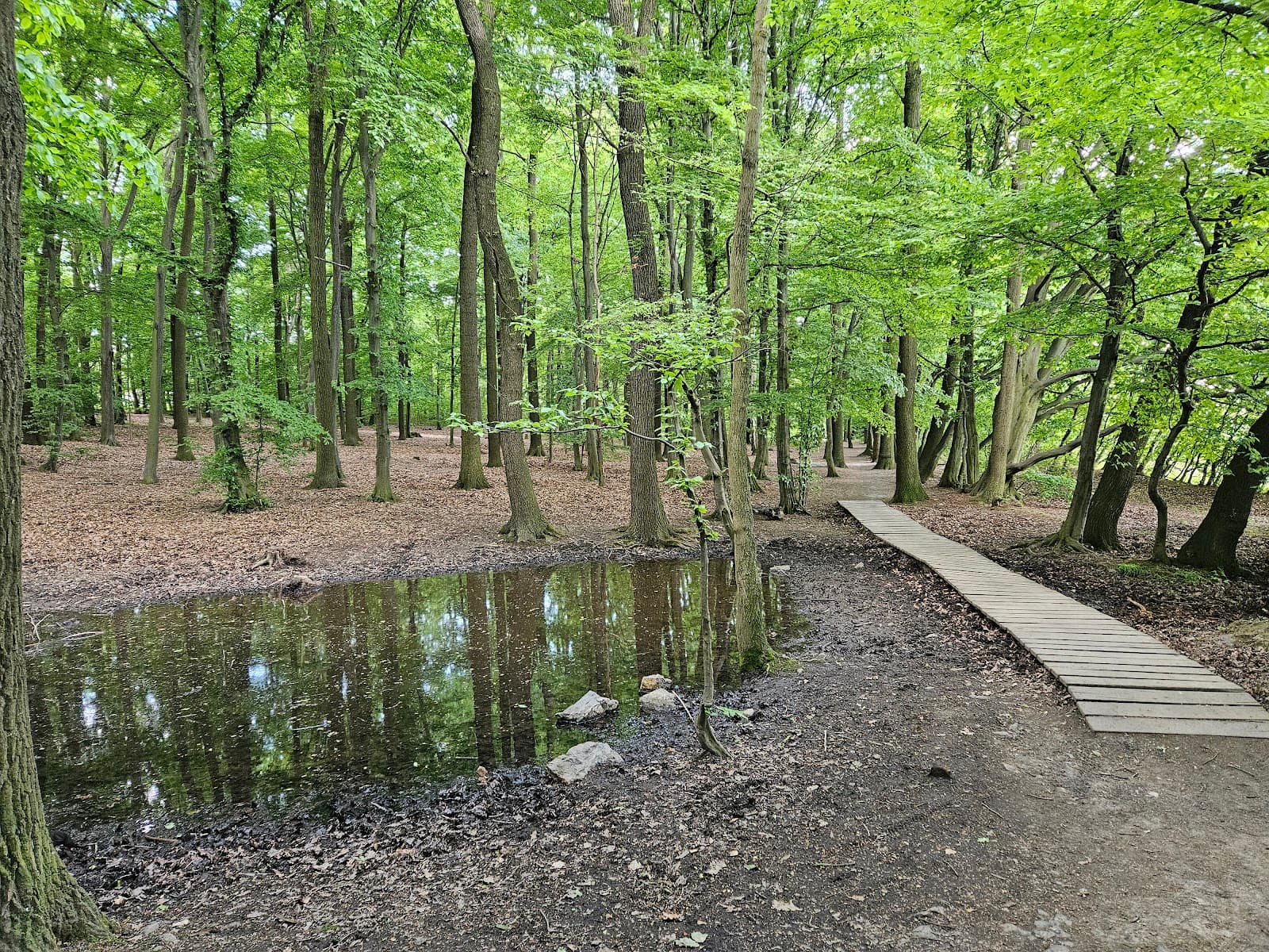 Čáblíky Háj - Image 1