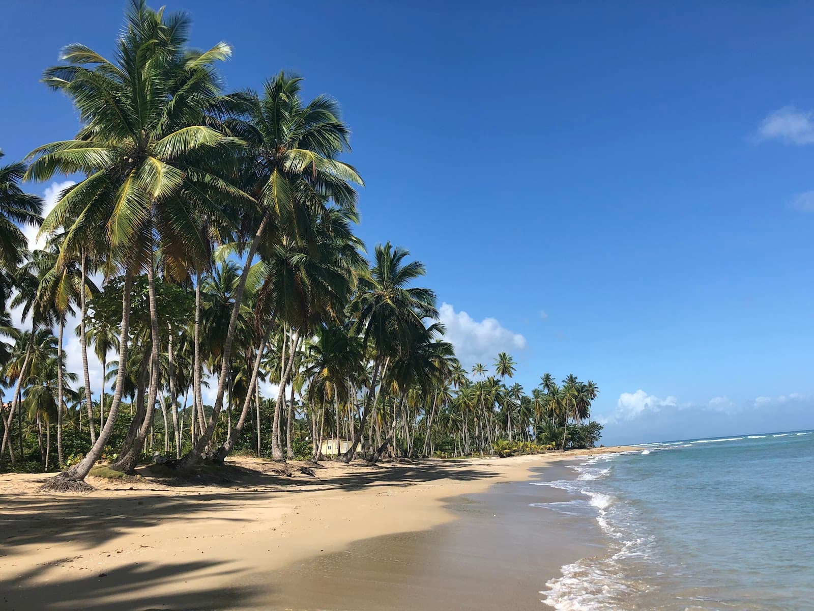 Playa Coson Las Terrenas - Image 1