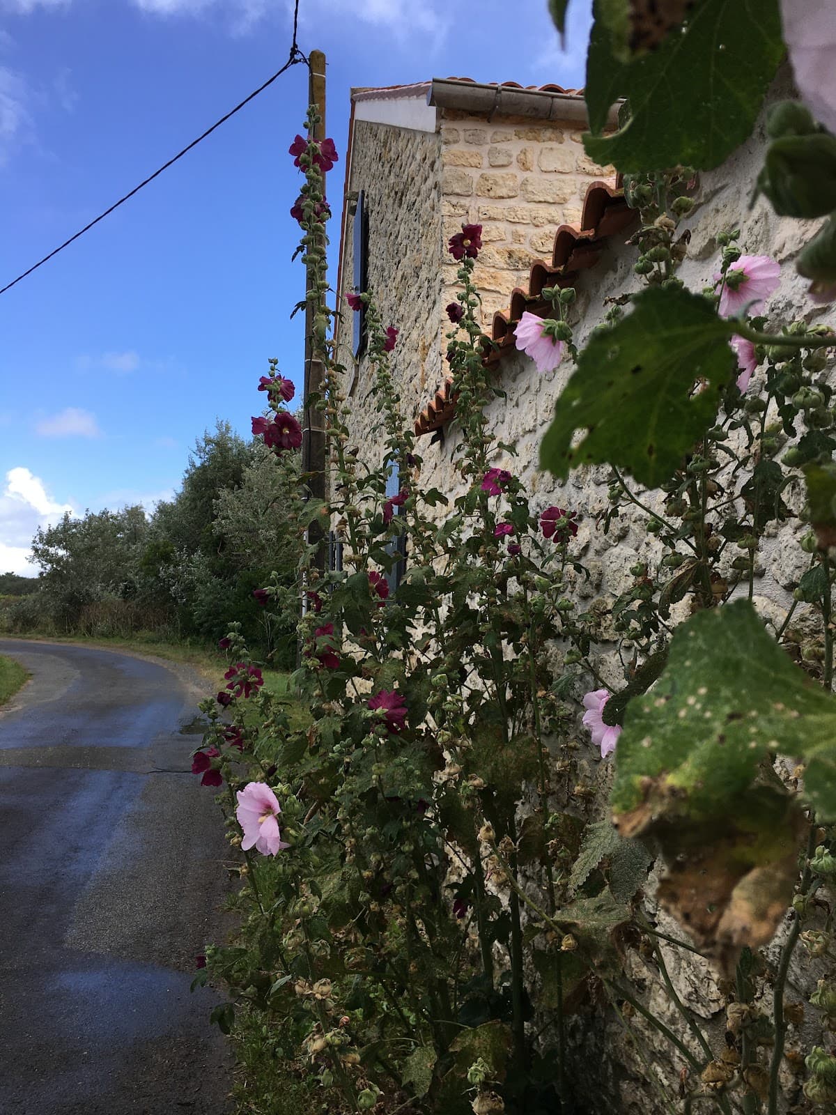 La Menounière - Image 1