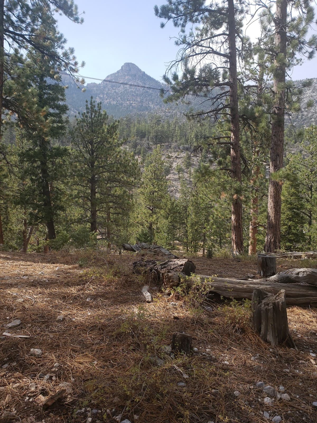 Rainbow Canyon - Image 1