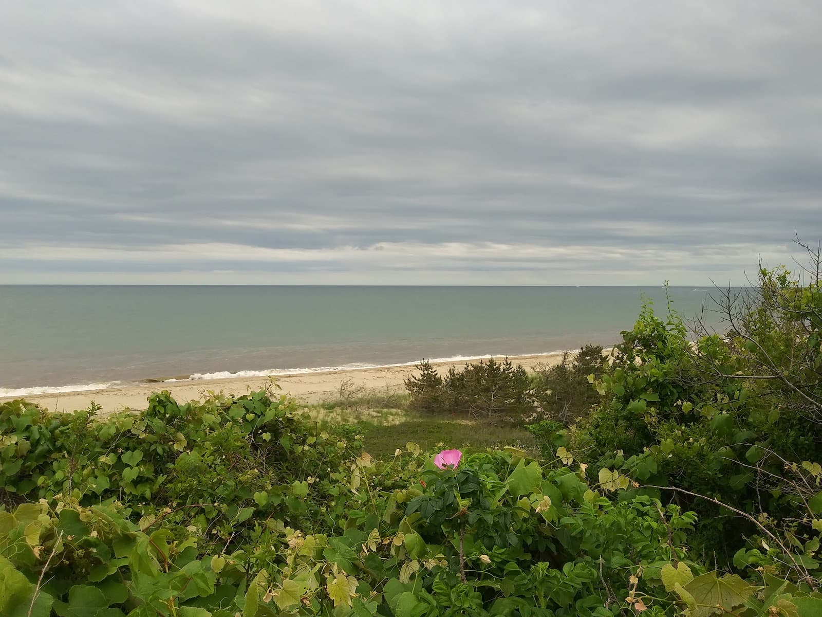 Siasconset Village - Image 1