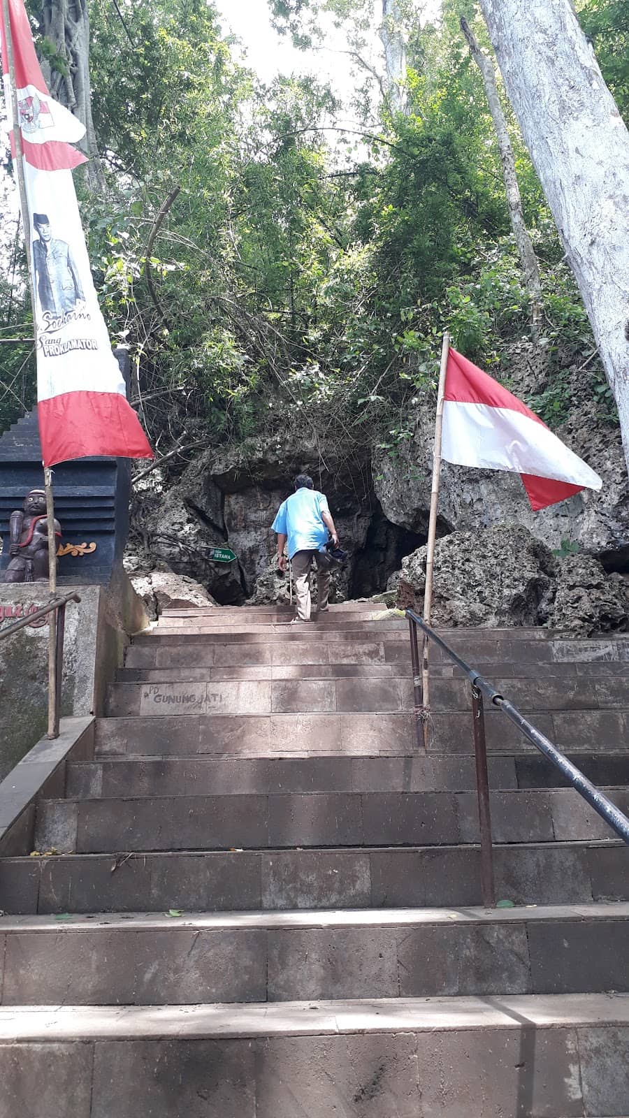 Mystical Forest Trails