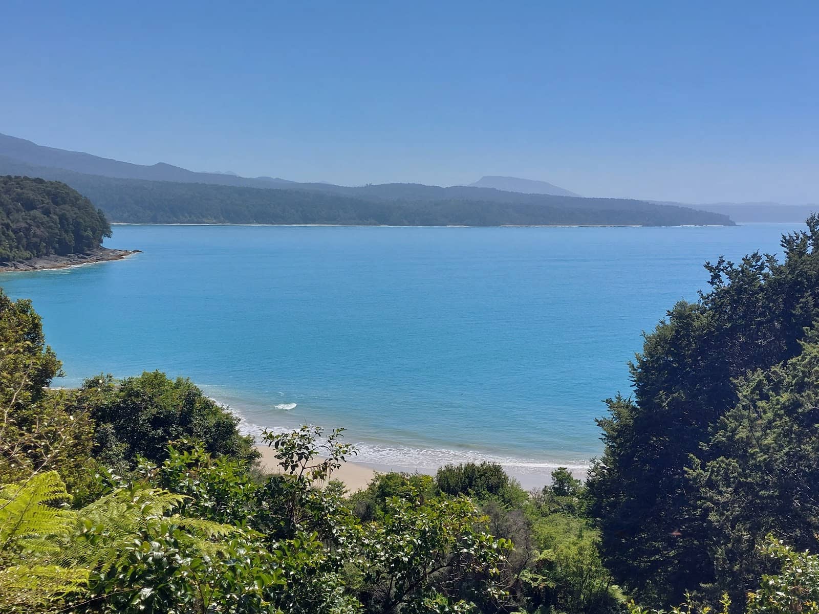 Dolphin & Eel Encounters