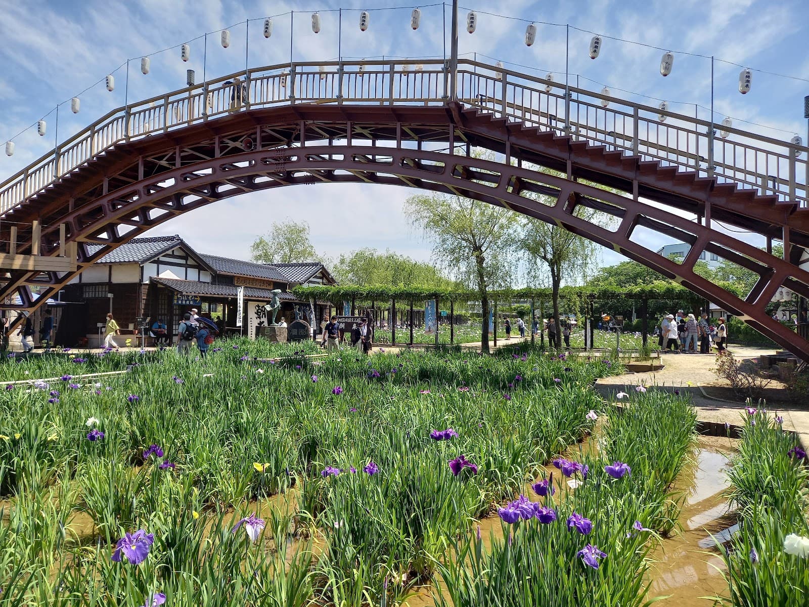 Itako Ayame Garden - Image 1