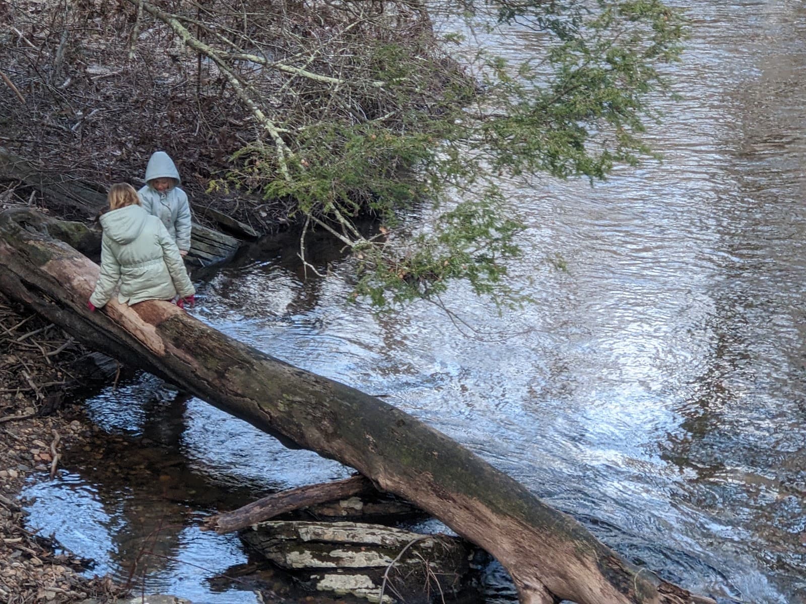Patrell Preserve - Image 1
