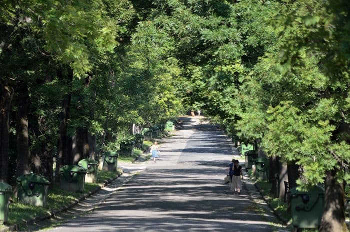 Farkasrét Cemetery, Budapest, Hungary - Image 1