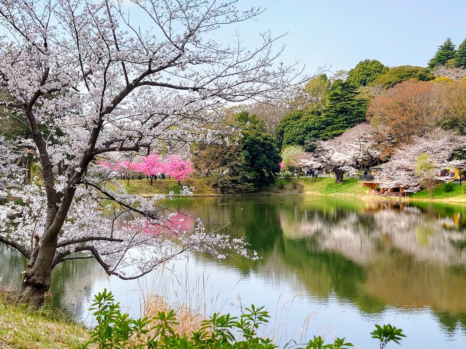 Mitsuike Park - Image 1