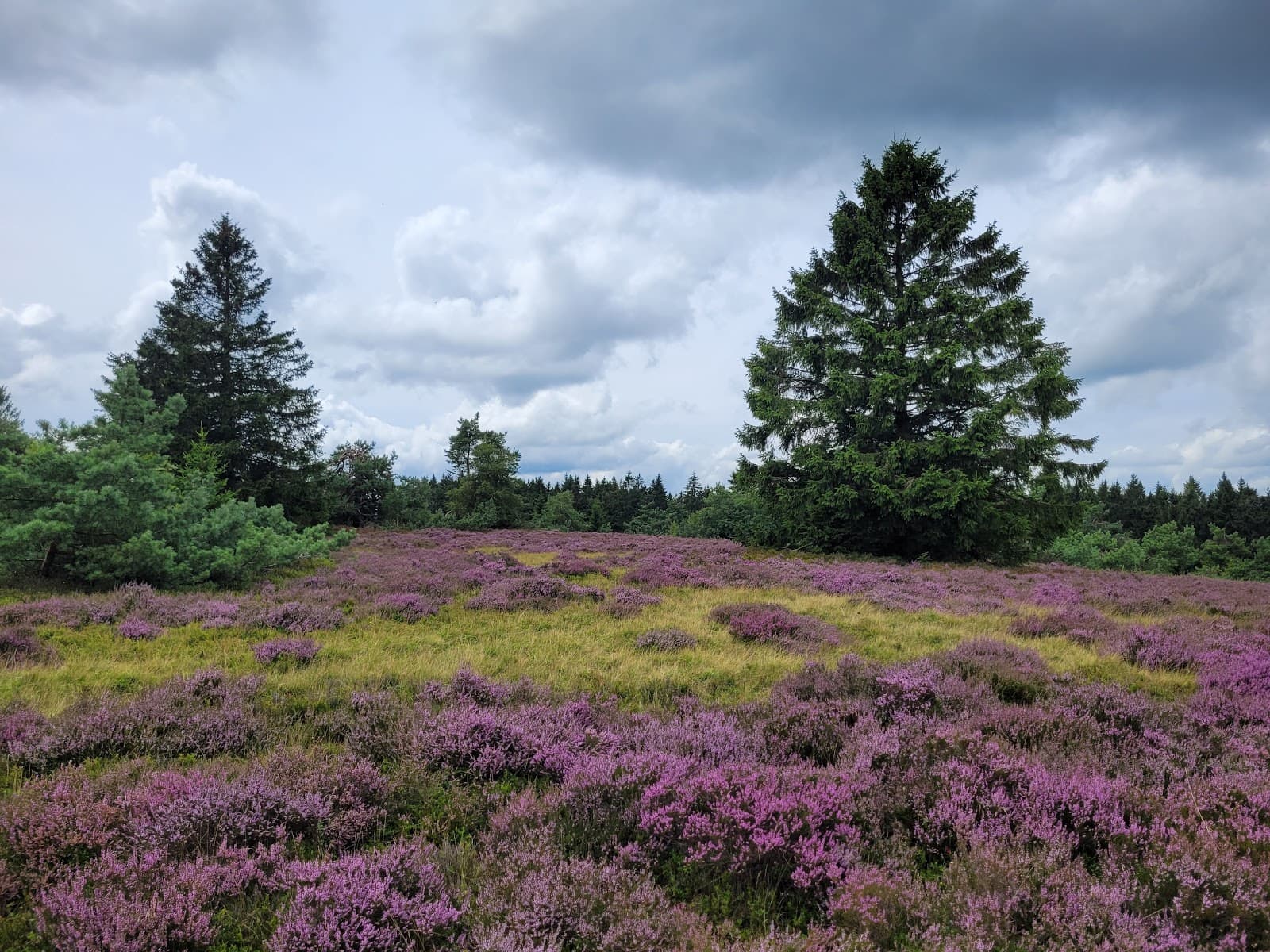 Niedersfeld Hochheide (Neuer Hagen) - Image 1