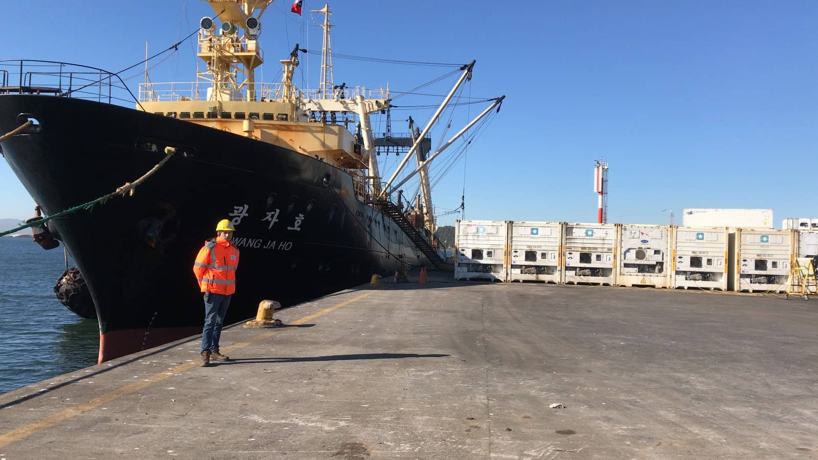 Talcahuano Port Terminal
