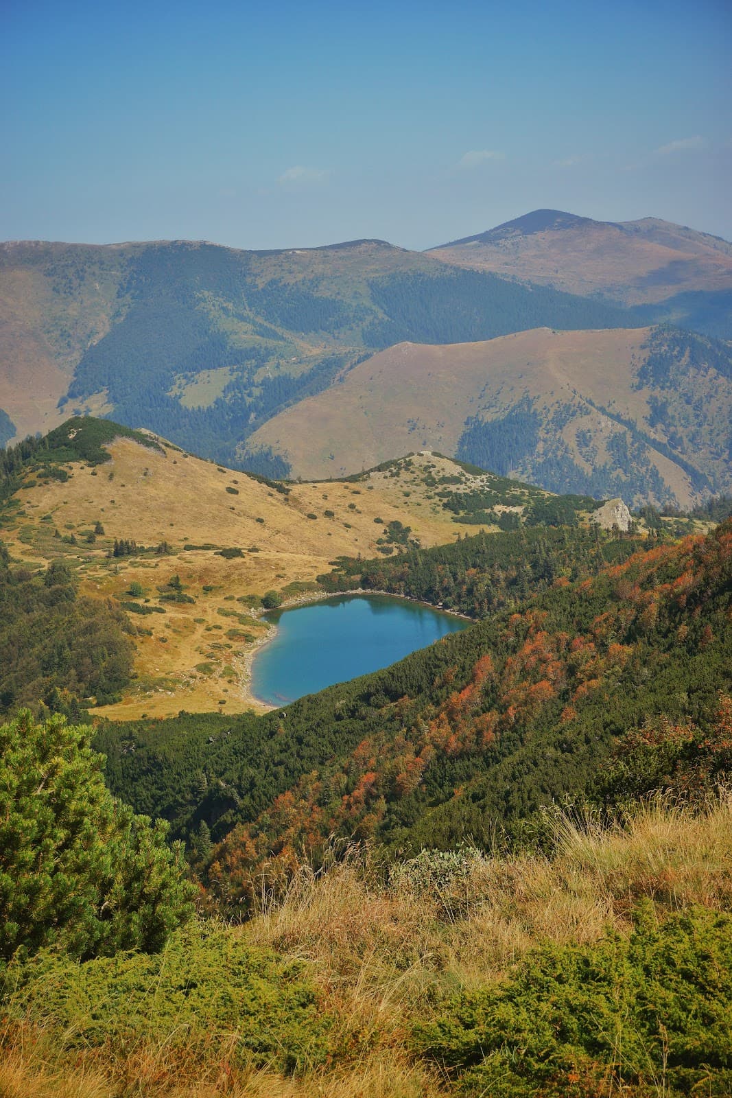 Crna Glava - Image 1