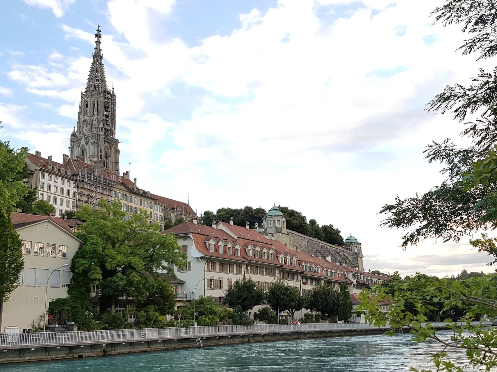 Dalmaziquai - Image 1