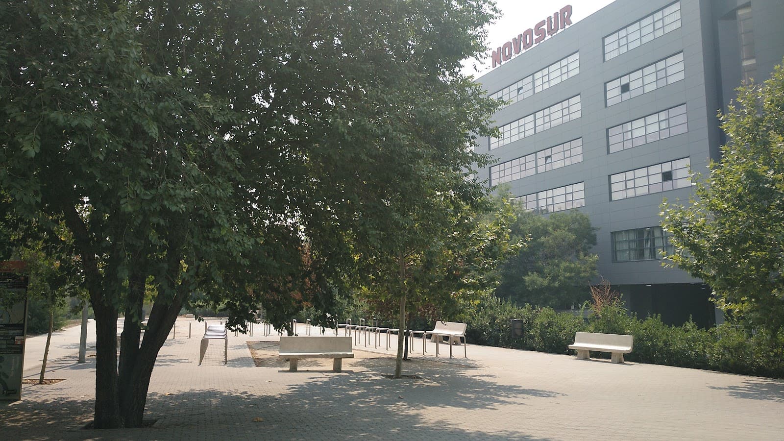 Museo de la Villa Romana de El Castellar de la Frontera - Image 1