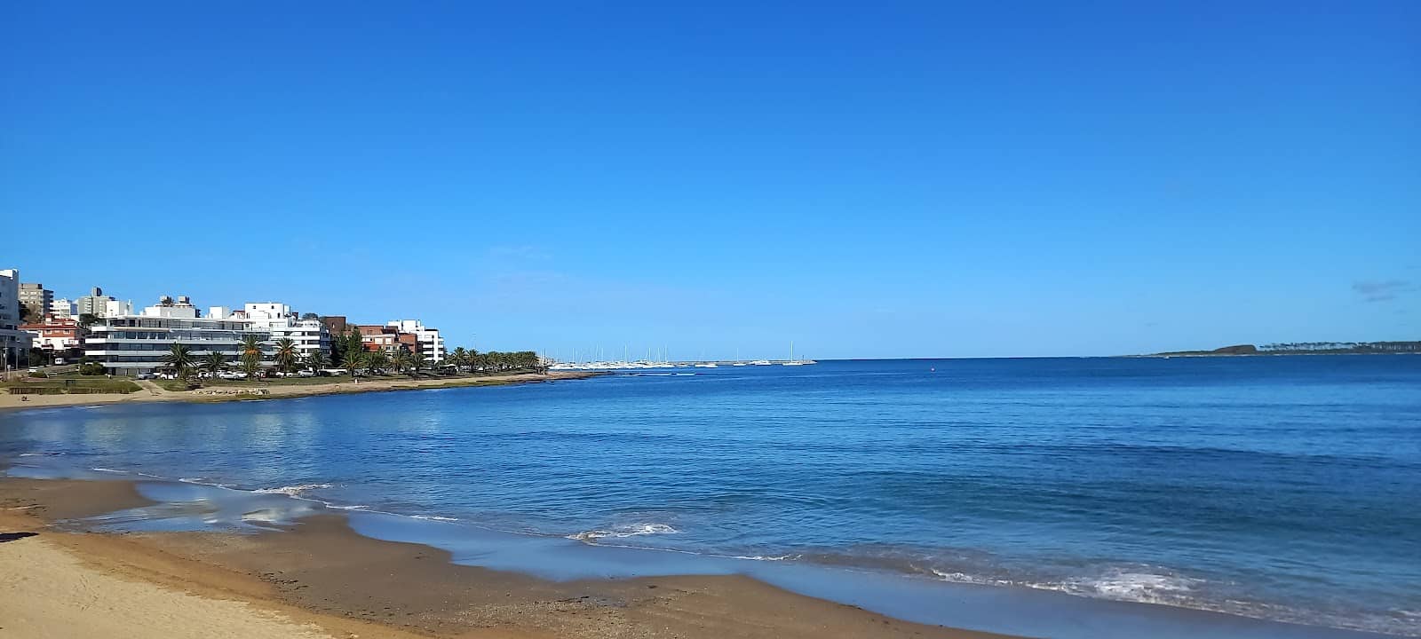 The Port of Punta del Este