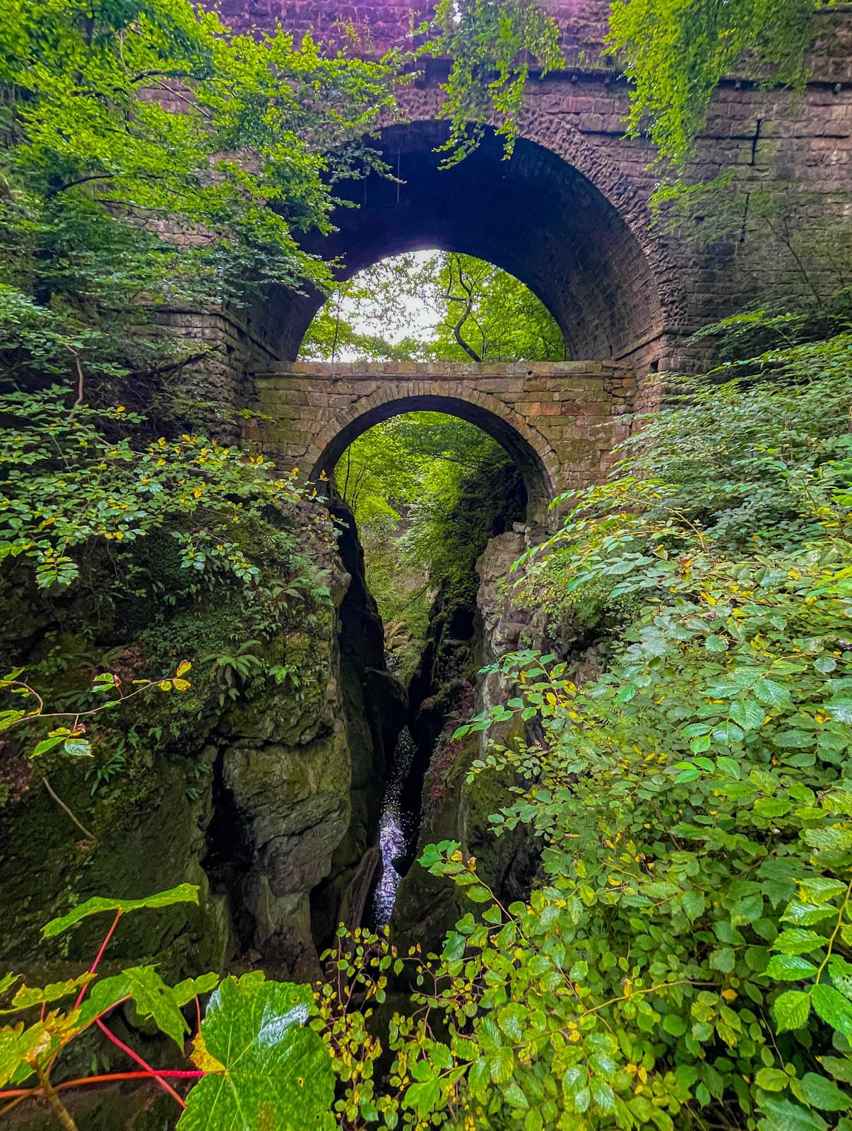 Rumbling Bridge Gorge - Image 1