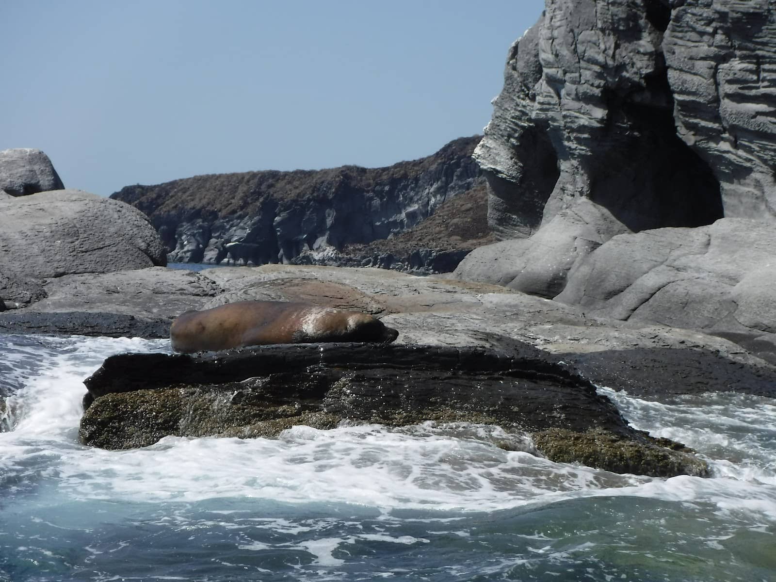 Dolphin Watching Tour