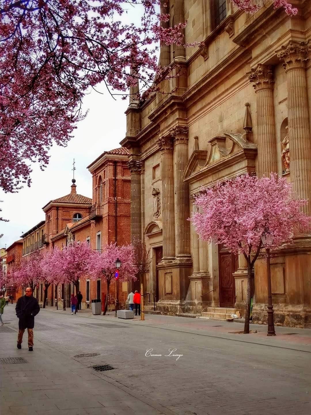 Local Cafes and Eateries