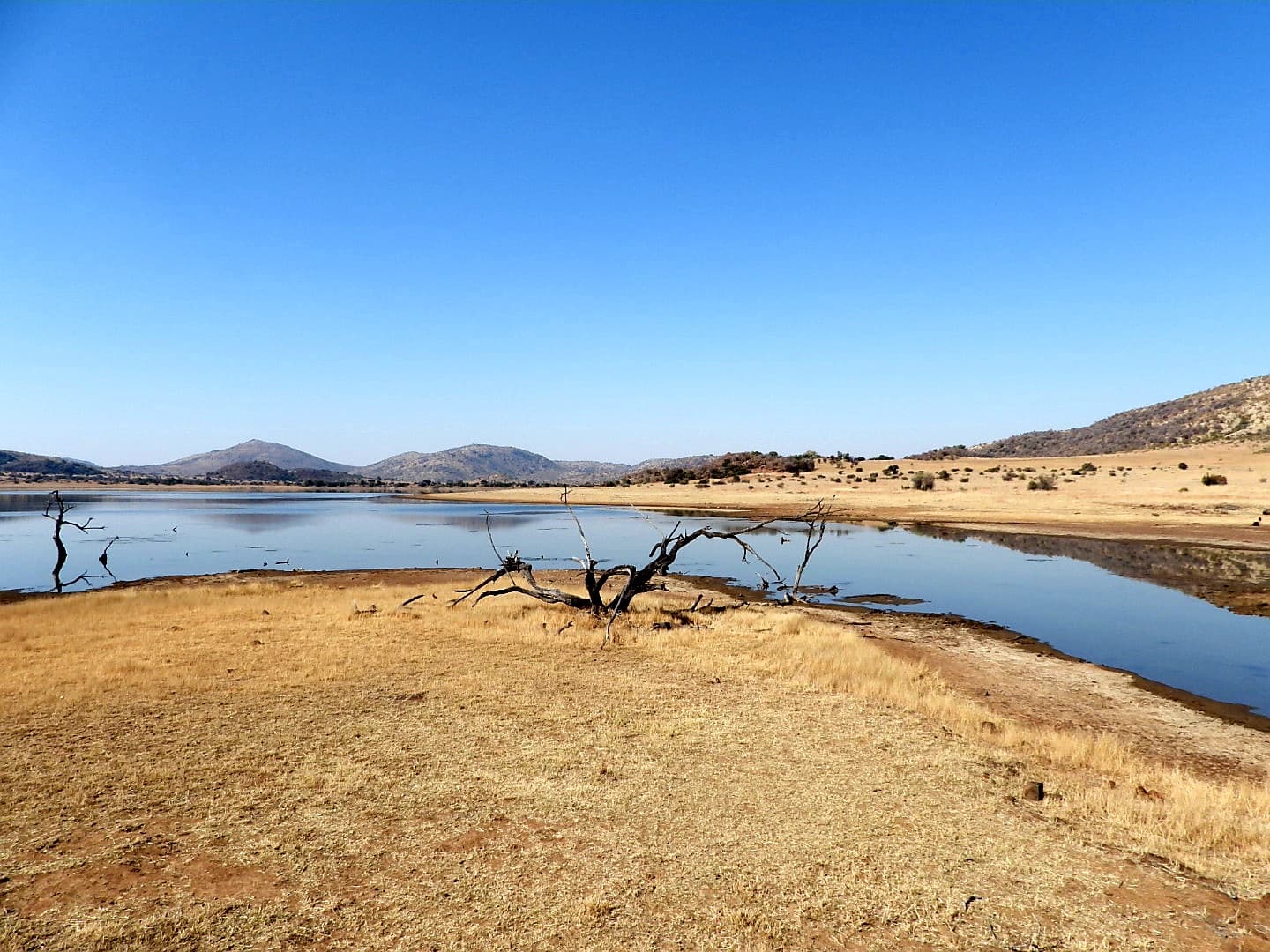 Mankwe Dam (Pilanesberg) - Image 1