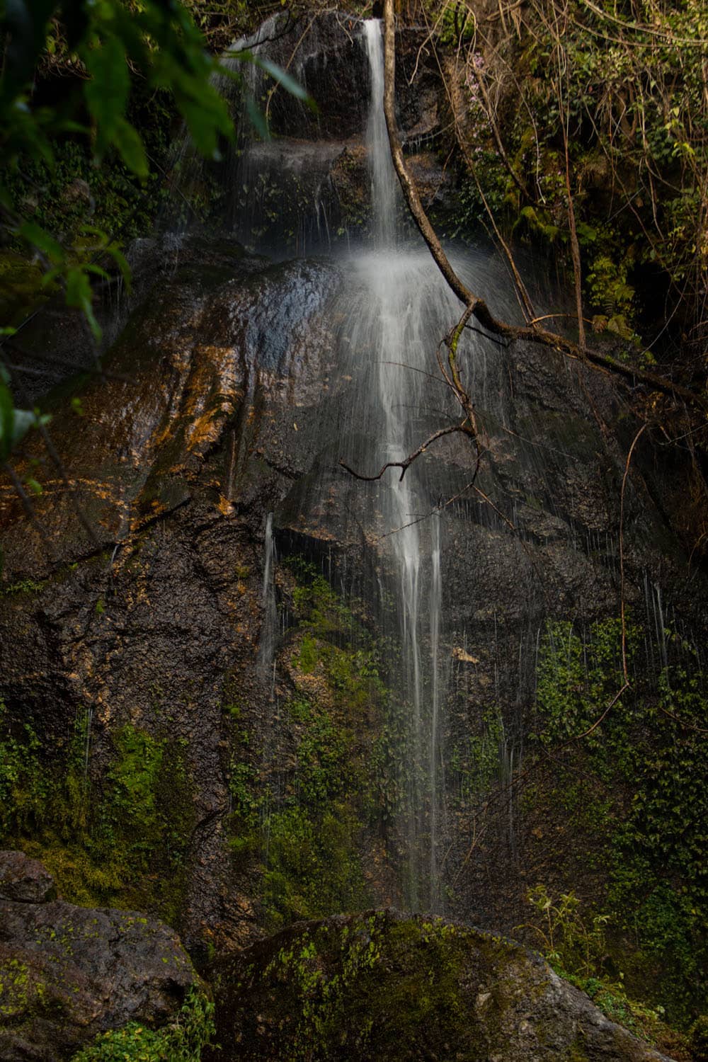 Temple and Rock Garden