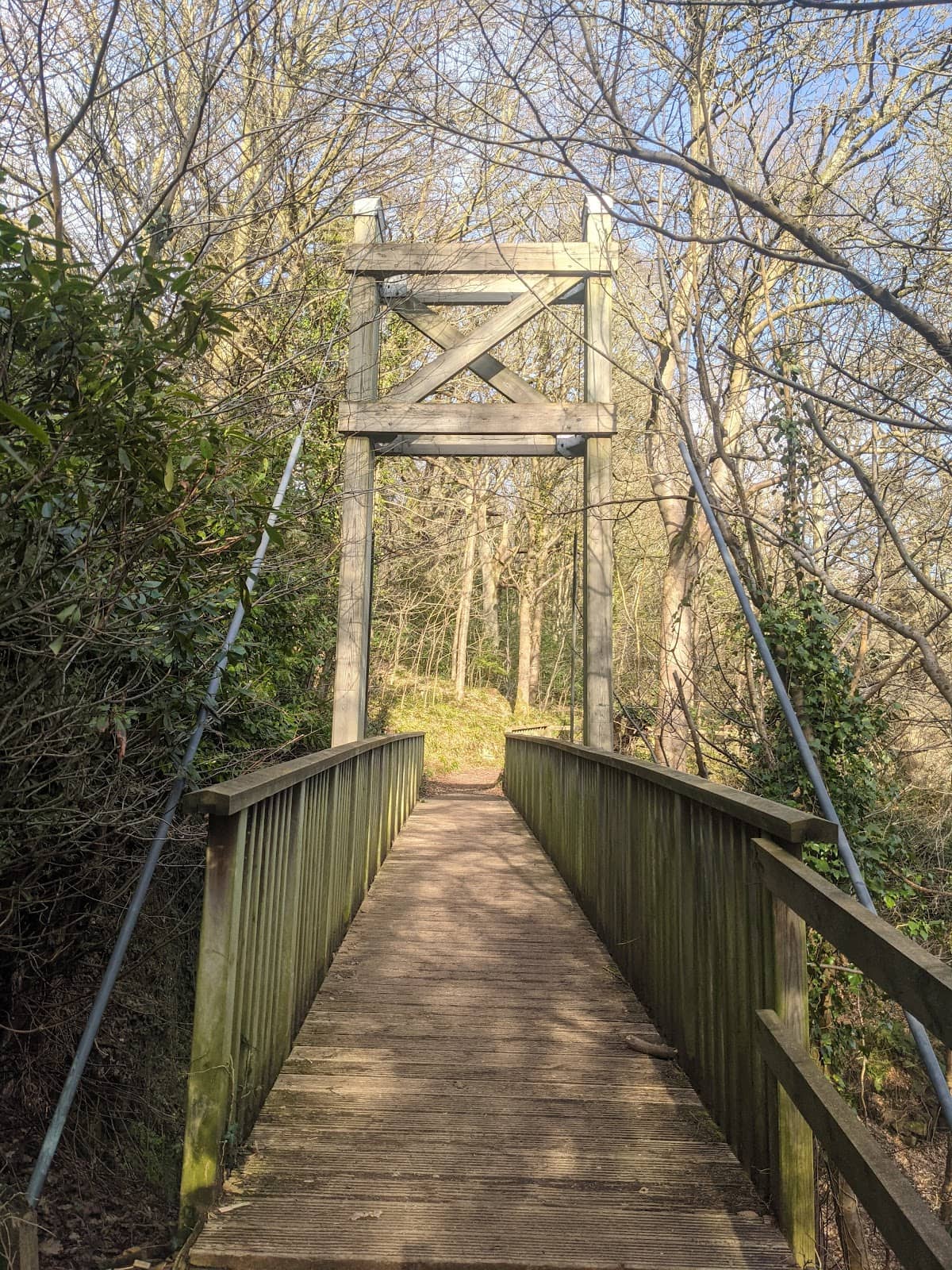 Vertical photo