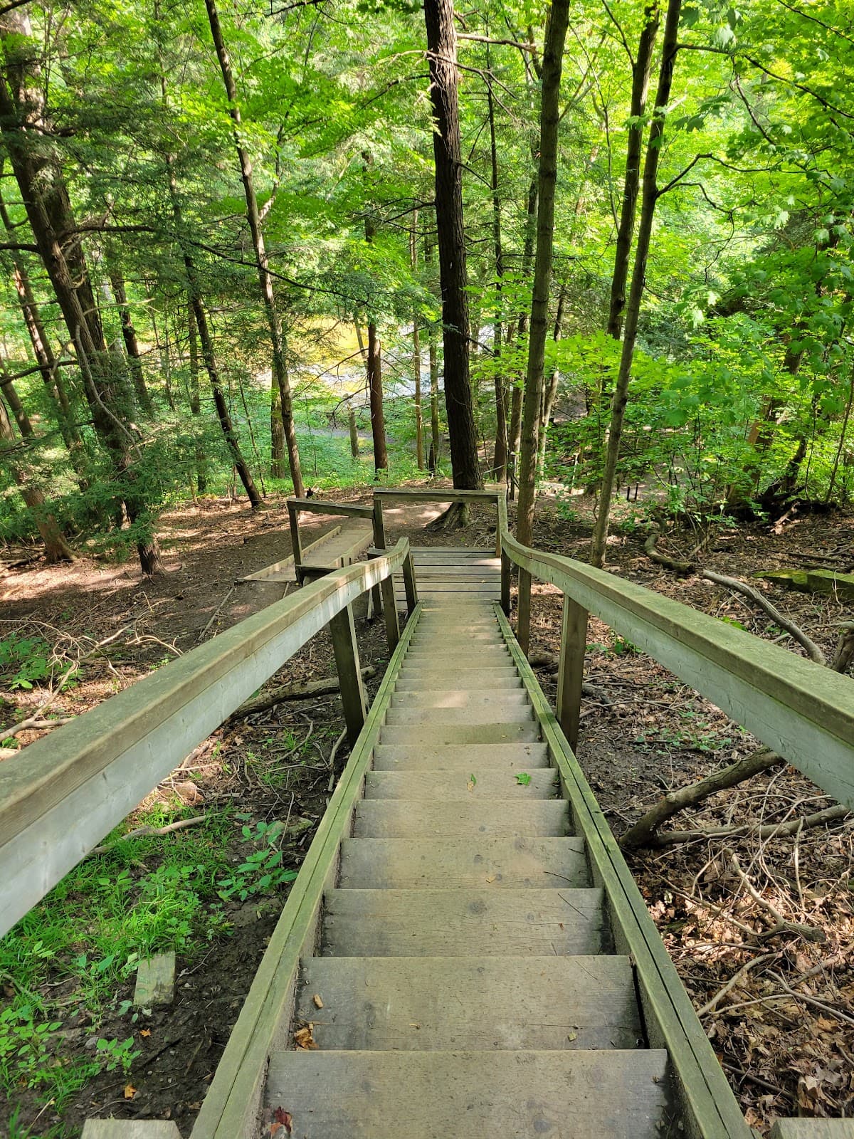 Twenty Valley Trail - Image 1