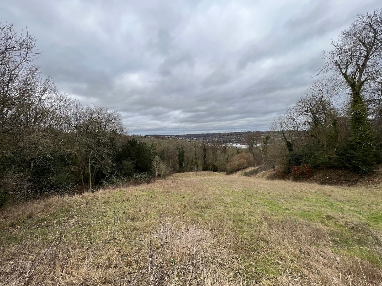 Deangarden Wood - Image 1