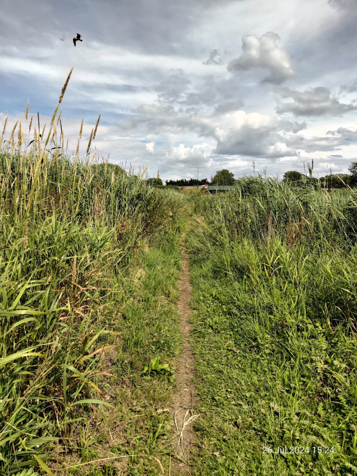 Coatham Marsh Nature Reserve - Image 1