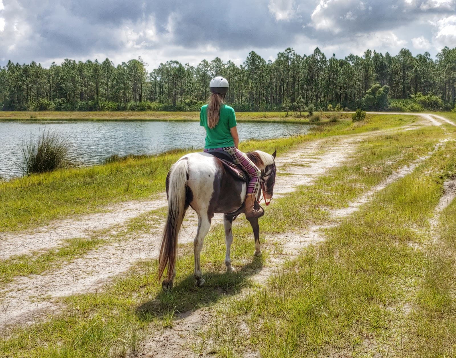 McCarty Ranch Preserve - Image 1
