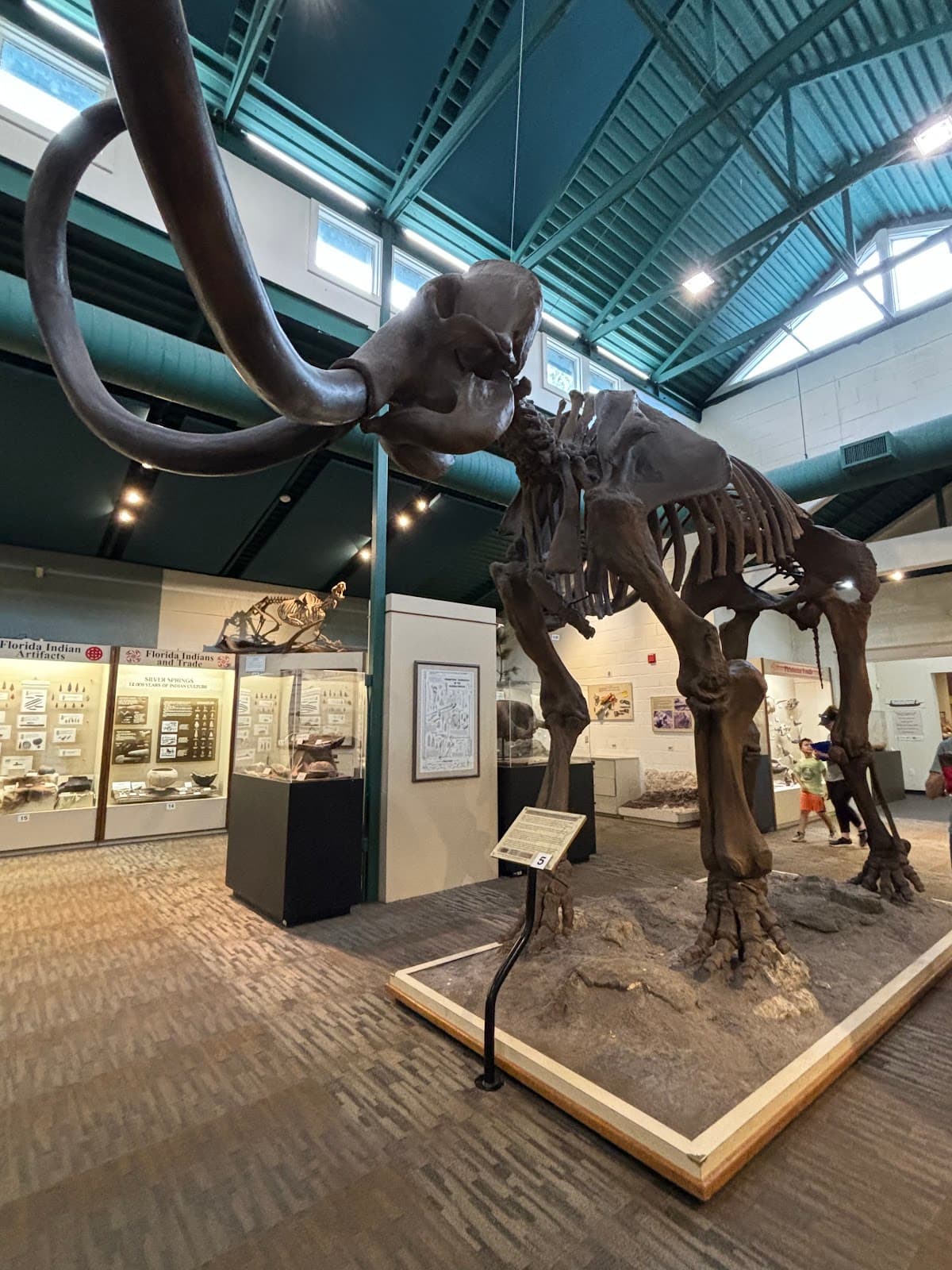 Silver River Museum and Environmental Education Center - Image 1