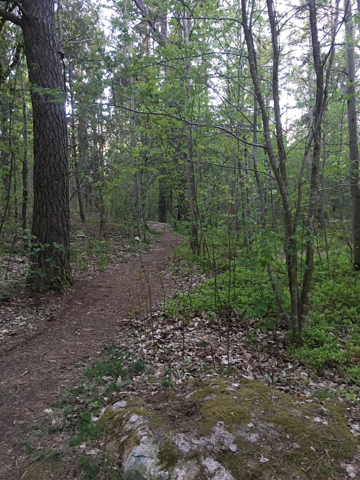 Stabby Culture Reserve and Meadow - Image 1