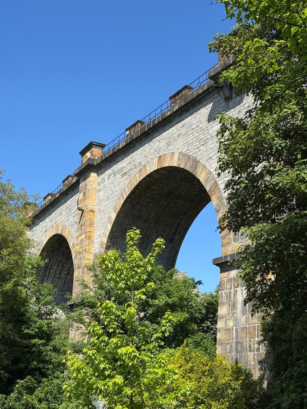 Prokopské a Dalejské údolí - Image 1