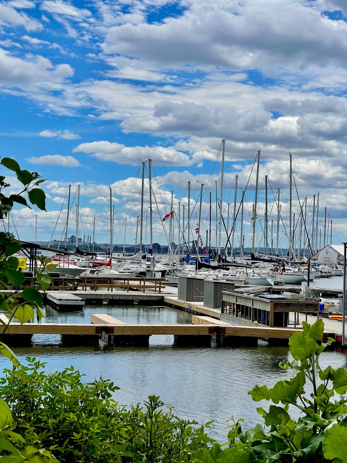 LaSalle Marina - Image 1