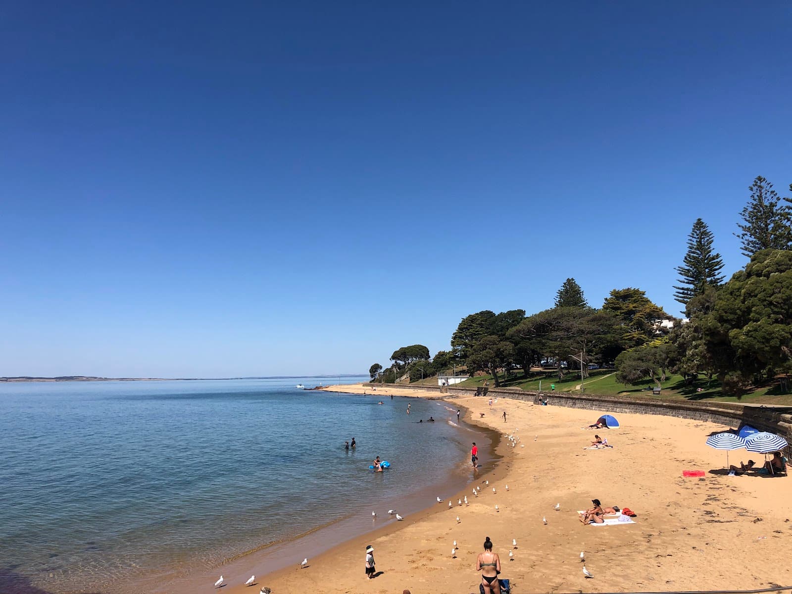 Cowes Jetty - Image 1
