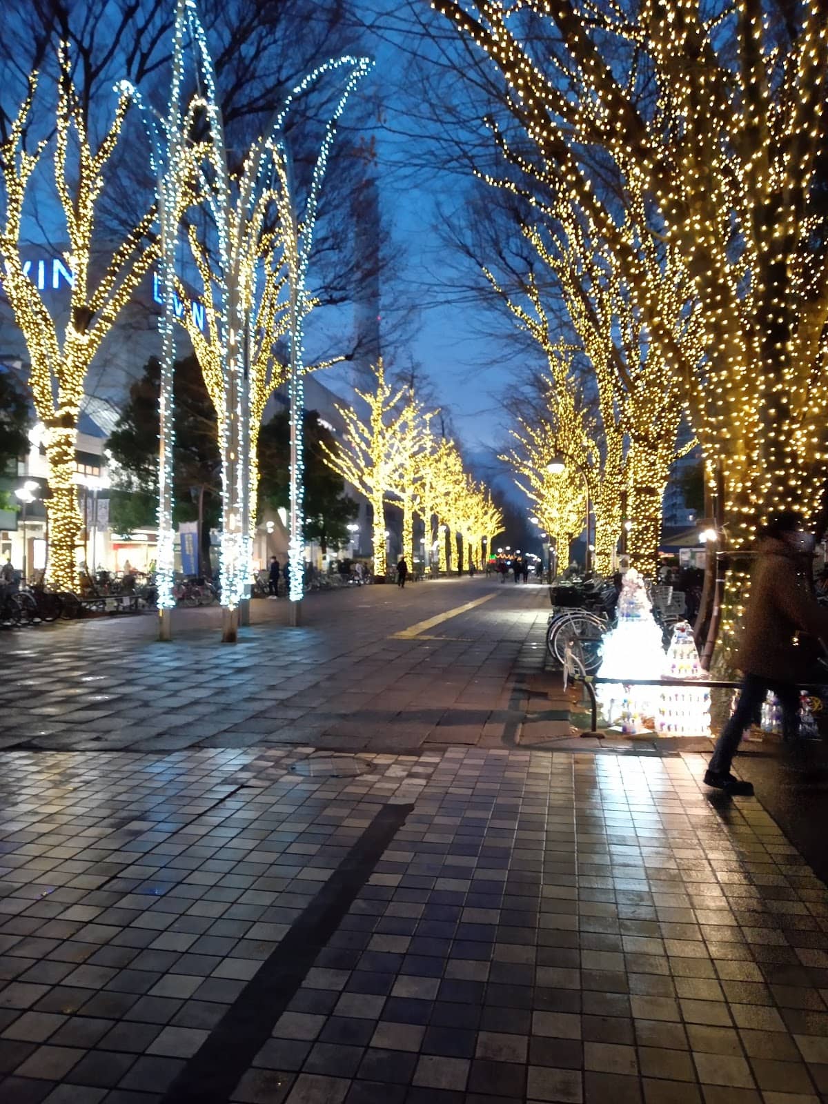 Local Community Vibe